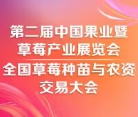 2025第二屆中國合肥果業(yè)暨草莓產(chǎn)業(yè)展覽會<br>全國草莓種苗與農(nóng)資交易大會